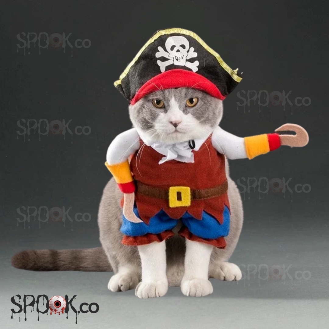 Pirate Pet Halloween Costume