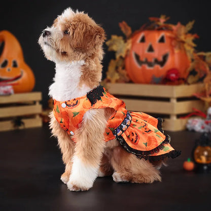 Pet Halloween Dress