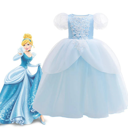 Princess Cinderella Costume Dress