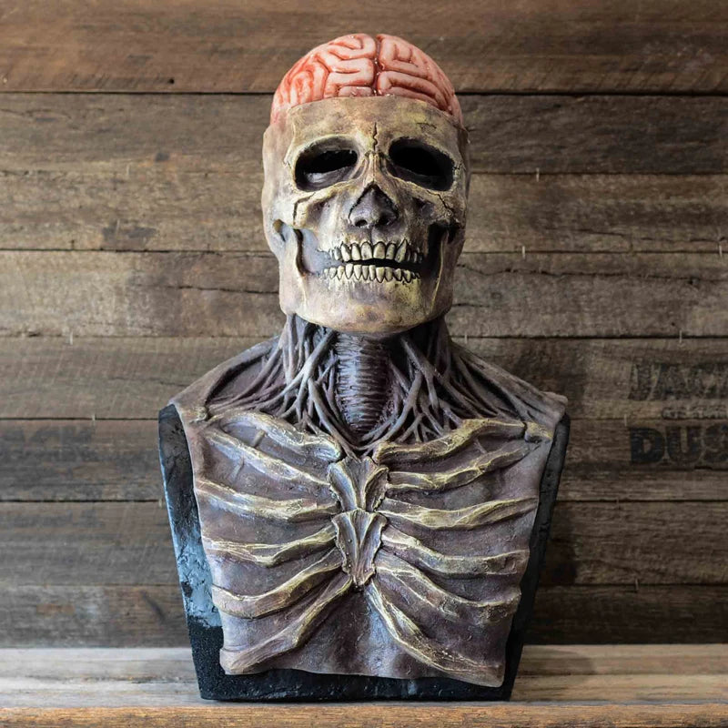 Creepy Skeleton Skull Mask