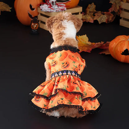 Pet Halloween Dress