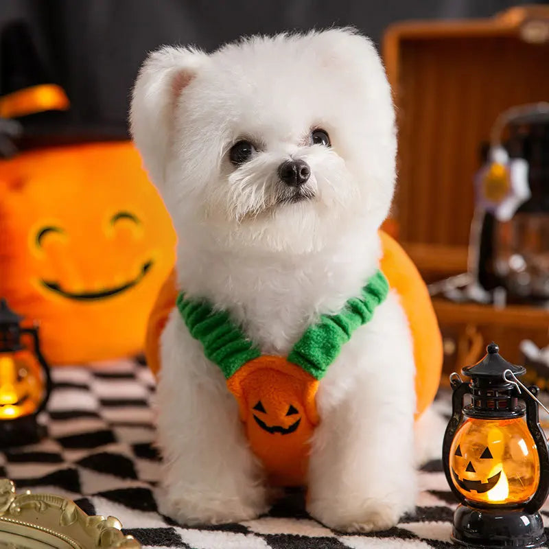 Cute Pumpkin Pet Halloween Costume