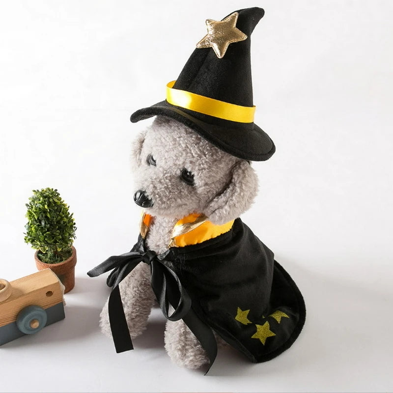 Witch Pet Halloween Costume