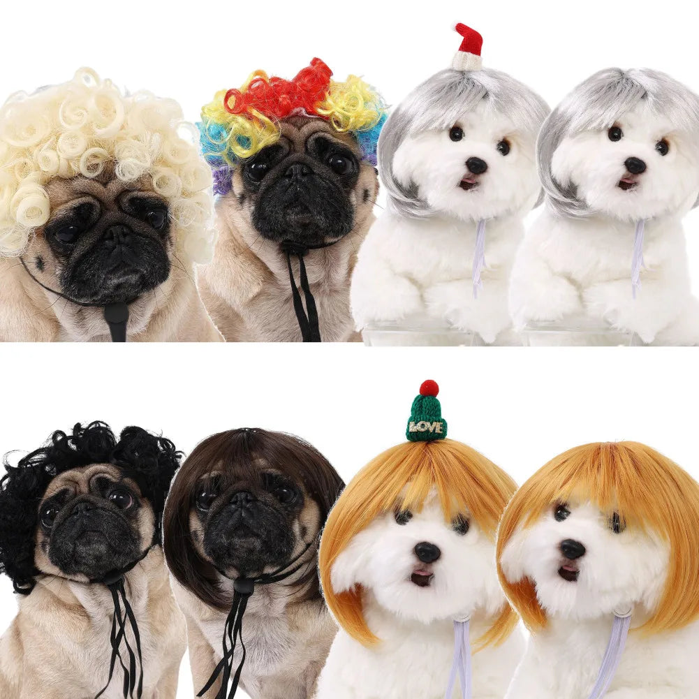 Funny Pet Wig