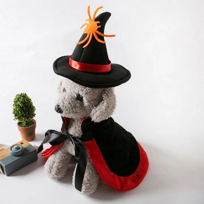 Witch Pet Halloween Costume