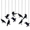 Crow- 9 pcs