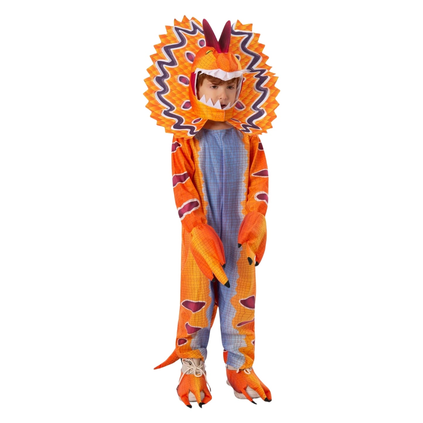 Dinosaur Costume Set