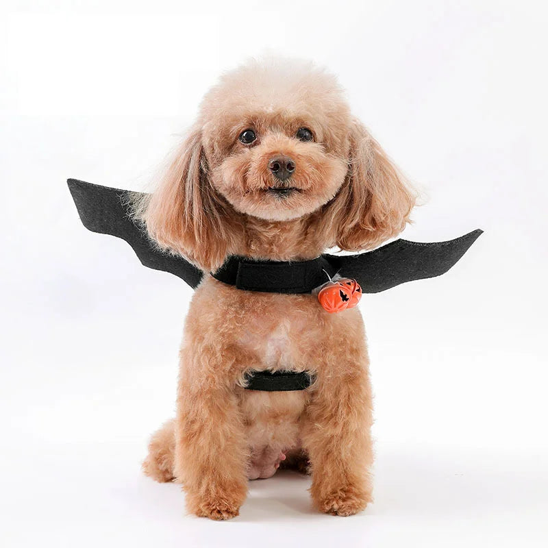 Bat Wings and Bells Pet Costume