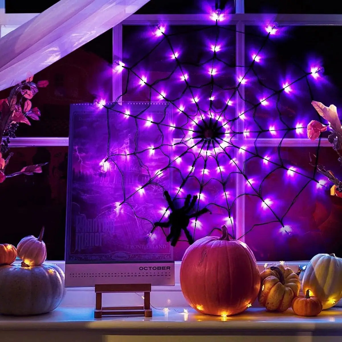 Halloween Spider String Light