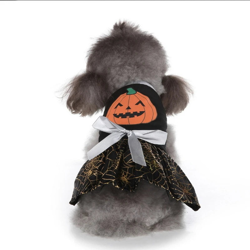 Pumpkin Halloween Pet Costume