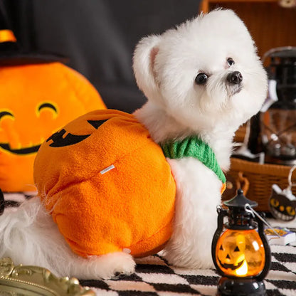 Cute Pumpkin Pet Halloween Costume