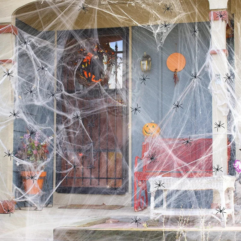 Halloween Spider Web Decoration