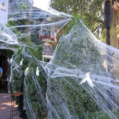 Halloween Spider Web Decoration