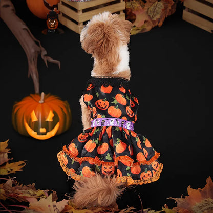 Pet Halloween Dress