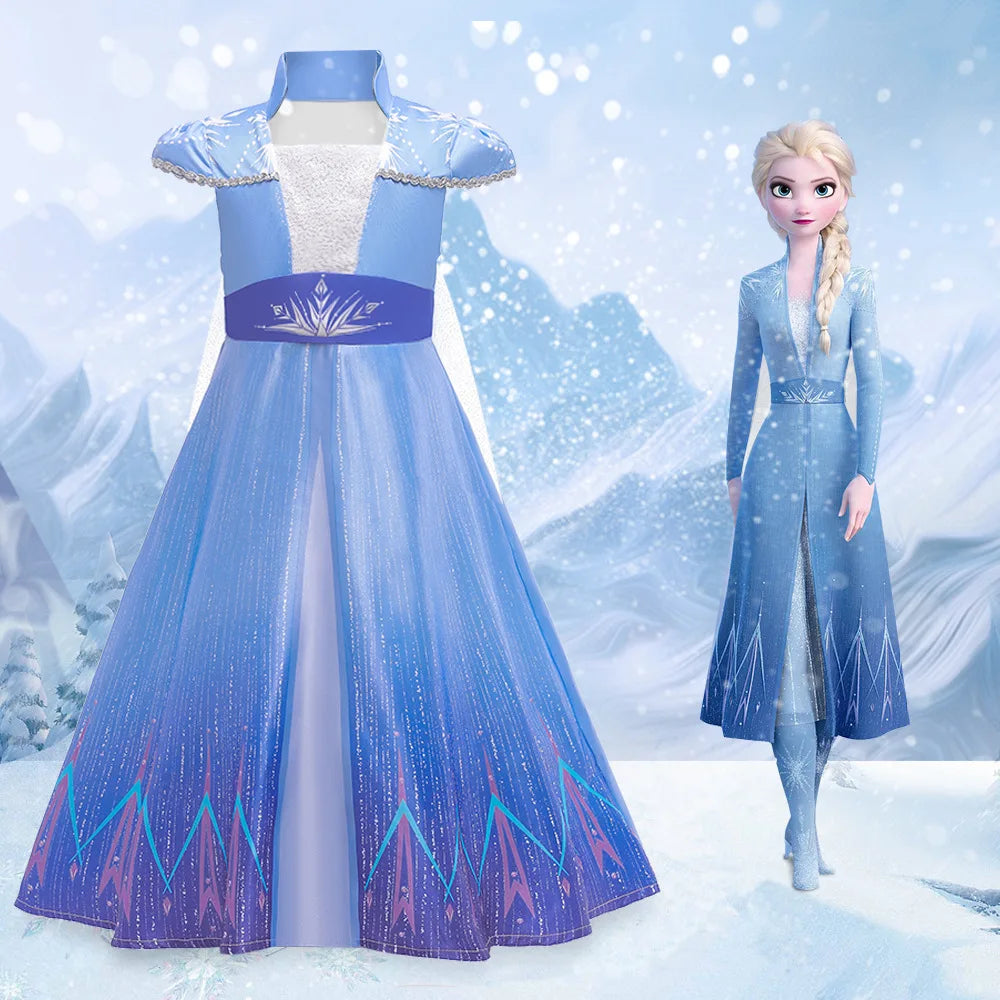 Elsa Costume Dress