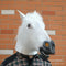White Horse