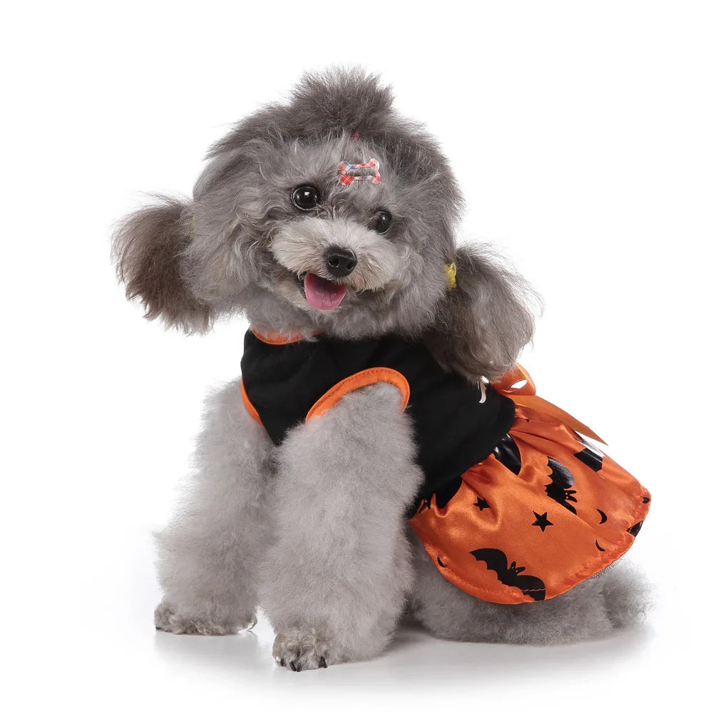 Ghost Halloween Pet Costume