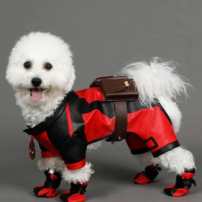 Premium DogPool Costume