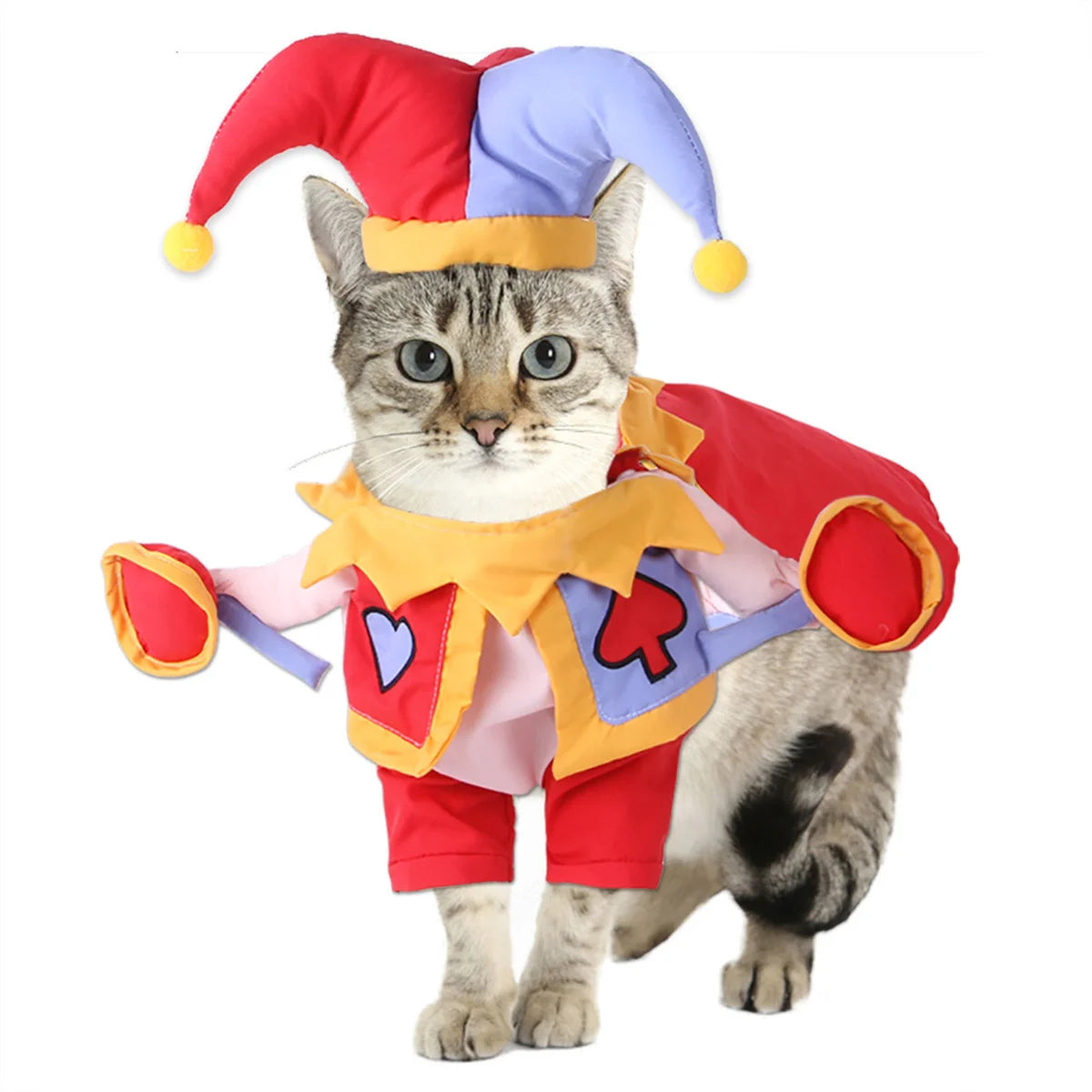 Pomni Pet Halloween Costume