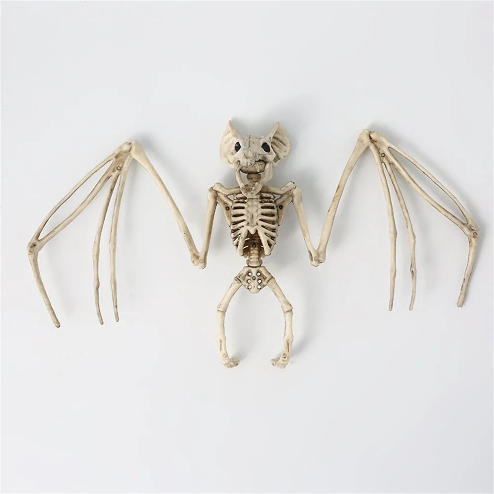 Creepy Bat Skeleton