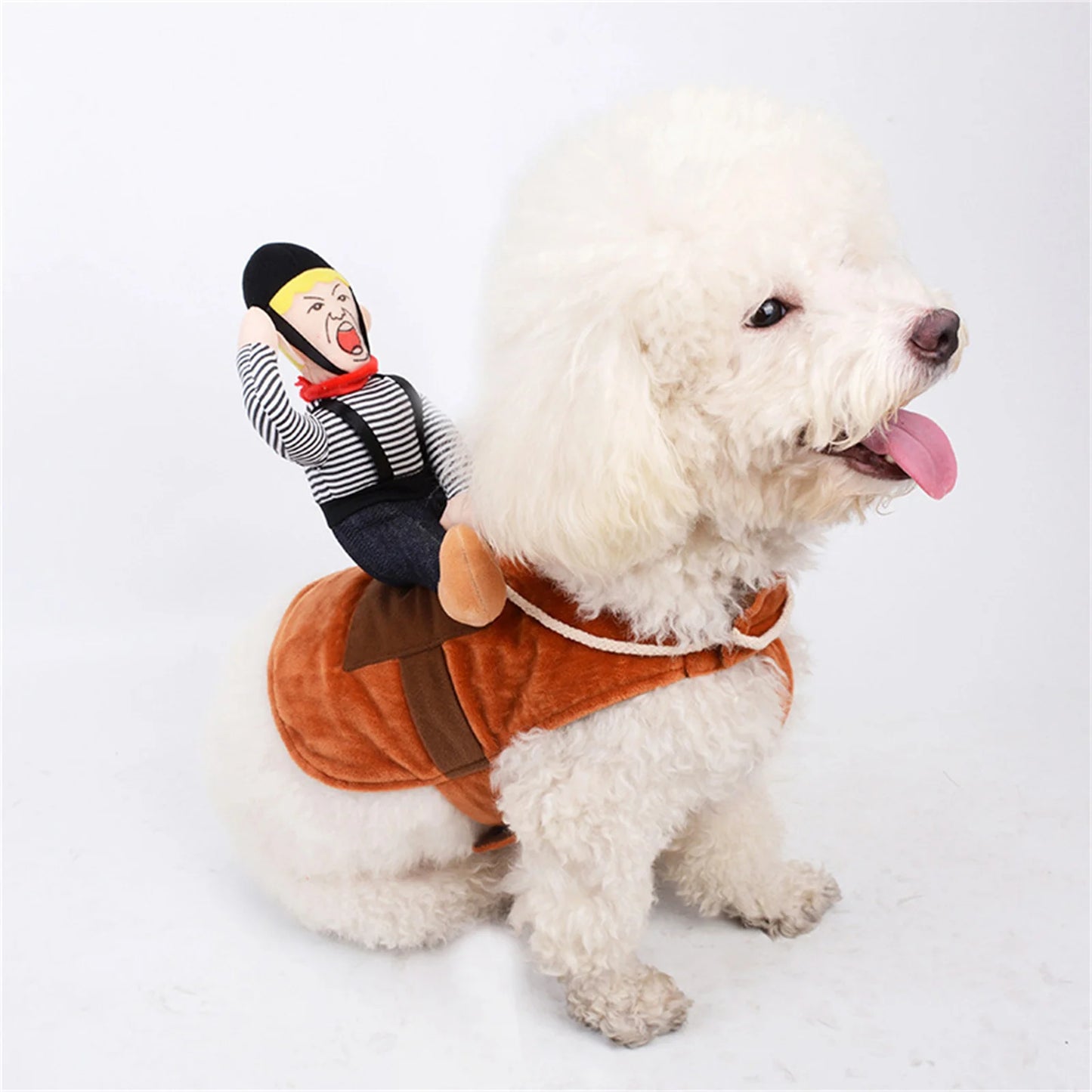 Funny Cowboy Rider Pet Halloween Costume