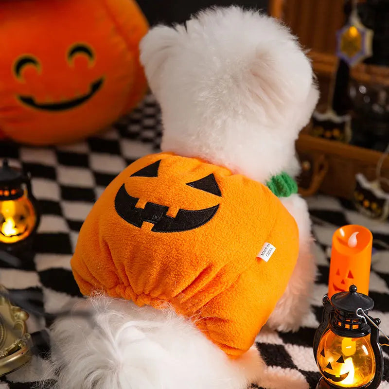 Cute Pumpkin Pet Halloween Costume