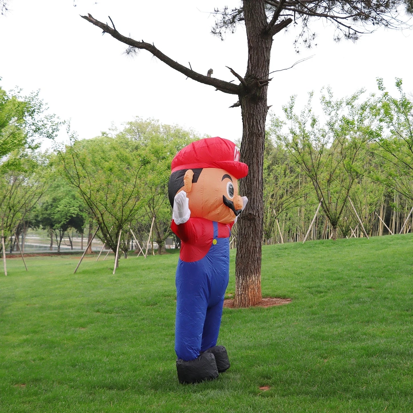 Adult Super Mario Inflatable Costume