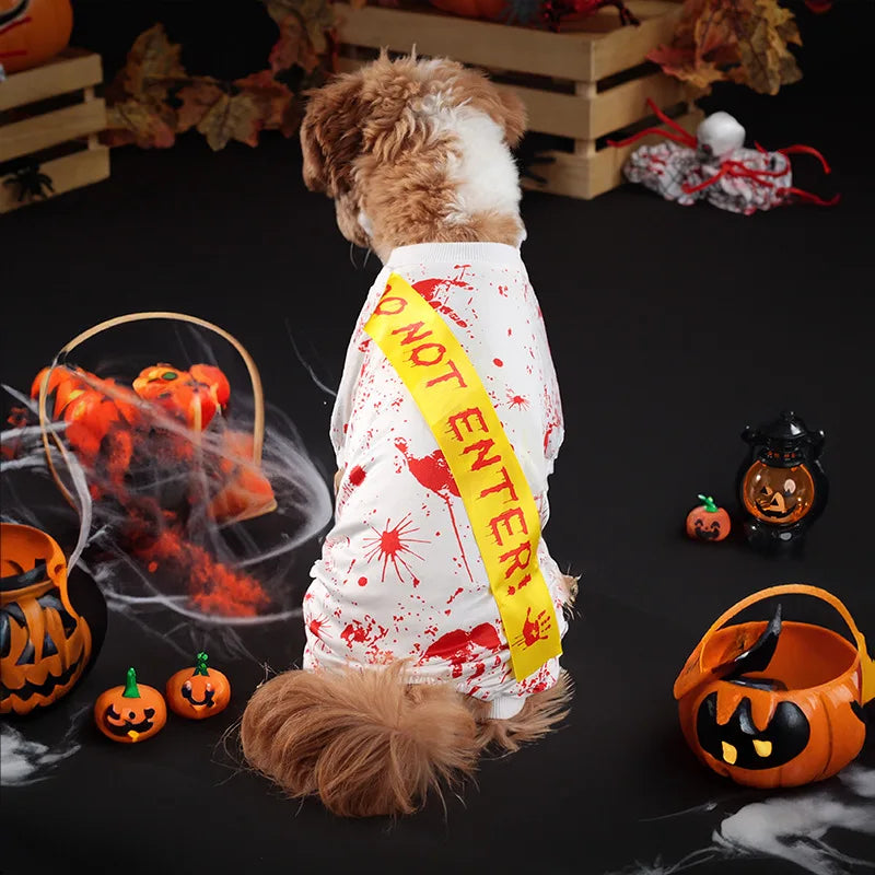 Spooky Halloween Pet Costume