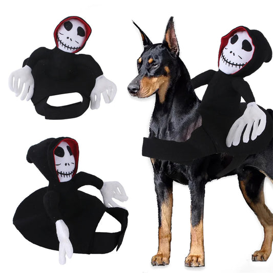 Ghost Riding Pet Costume