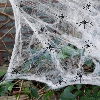 Halloween Spider Web Decoration