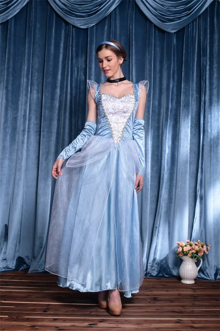 Adult Cinderella Costume Set