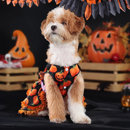 Pet Halloween Dress