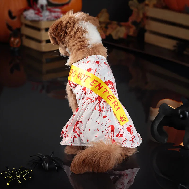 Spooky Halloween Pet Costume