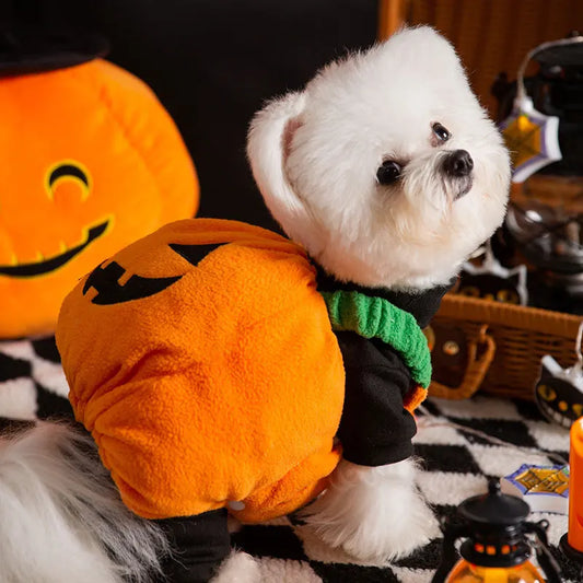 Cute Pumpkin Pet Halloween Costume