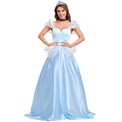 Adult Cinderella Costume Set