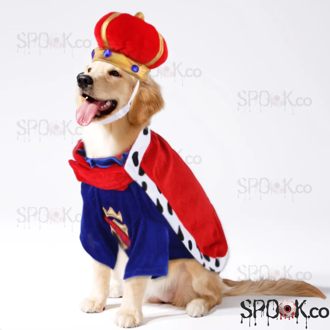 Pet King Costume Set