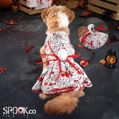 Spooky Halloween Pet Costume